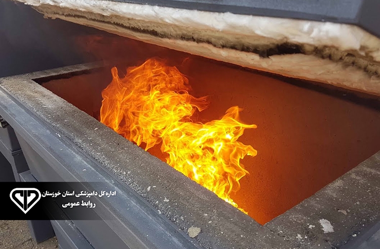 معدوم‌سازی بیش از ۳۰۰ کیلوگرم فرآورده خام دامی غیرقابل مصرف در هندیجان